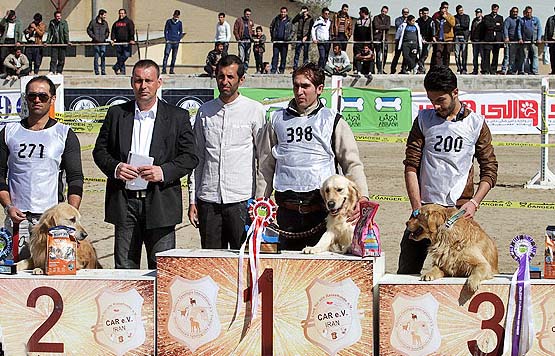 عکسهای جشنواره بهترین سگ های شکاری در اصفهان