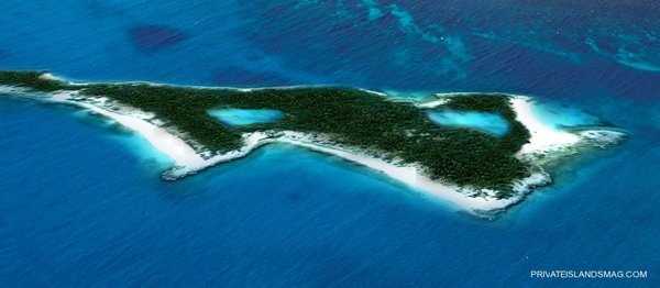 جزیره نیکلاس کیج