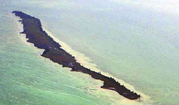 جزیره لئوناردو دی کاپریو